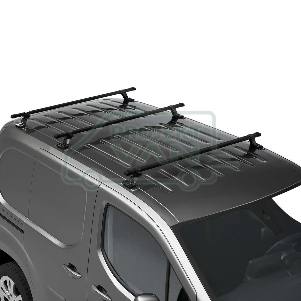 Belki dachowe Ford Custom I i II ( 13-23 i 23- ) L1H1 i L2H1 - z punktami montażowymi Pro Rack 313 — widok 3